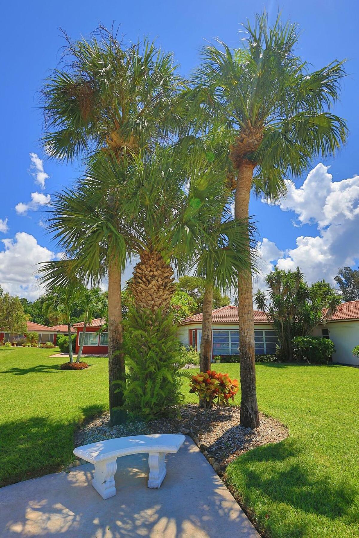 Updated With Pool, Walk To Crescent & Restaurants! *